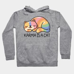 Karma Is A Cat Hoodie